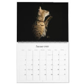 De Afrikaanse servale kat-kalender Kalender (Jan 2026)