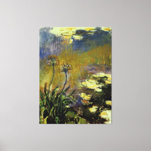 De Agapanthus Canvas Afdruk
