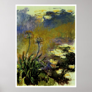 De Agapanthus Poster