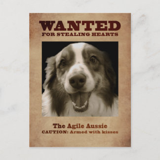 De Agile Aussie Briefkaart