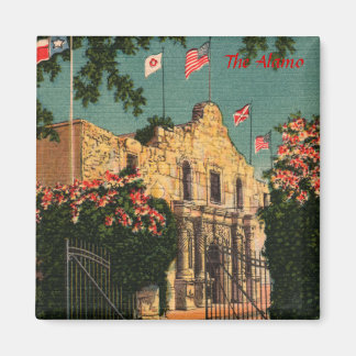 De Alamo  Texasmagneet Magneet