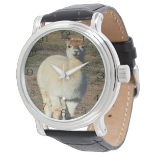De Alpaca Grin: Wollige Cream Alpaca Grin, Horloge