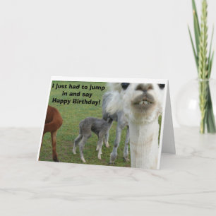 De Alpaca Verjaardag Kaart - Natuur onderbroken
