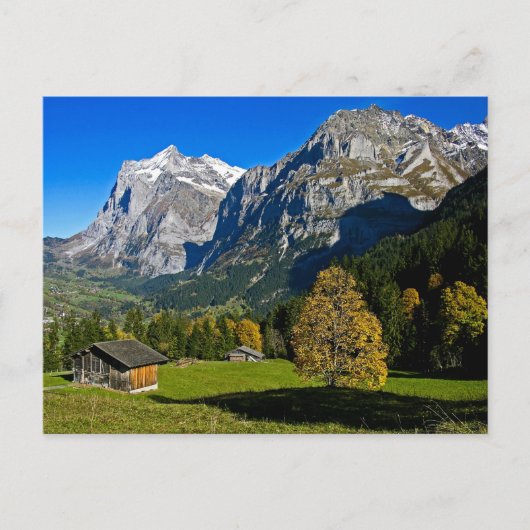 De Alpen, Zwitserland - Briefkaart (Voorkant)