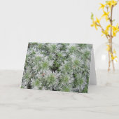 De Alsem van het Kasteel van Powis Kaart (Gele Bloem)