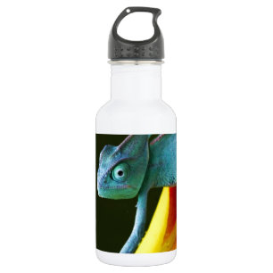 De Amazing Chameleon Waterfles