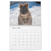De Amazing Wildlife Animals van Australië Kalender (Jan 2026)