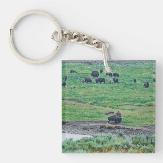 De Amerikaanse Bison Sleutelhanger (Voorkant)