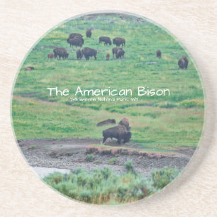 De Amerikaanse Bison Zandsteen Onderzetter