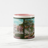 De Amerikaanse Capitol Coffee Mok (Center)