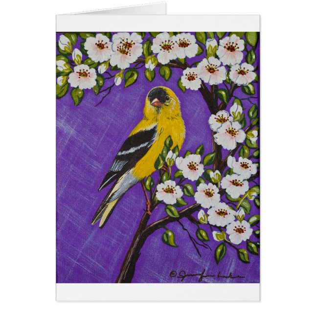 De Amerikaanse Goldfinch (Voorkant)