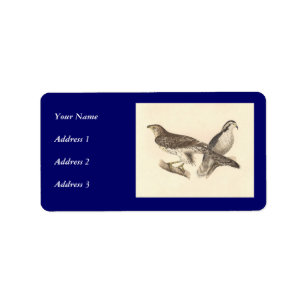De Amerikaanse Goshawk (Astur atricapillus) Etiket