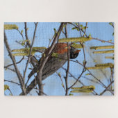 De Amerikaanse Robin heeft een tak met katkins Legpuzzel (Horizontaal)