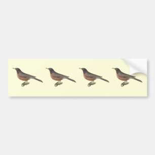 De Amerikaanse Robin (Turdus migratorius) NY Birds Bumpersticker