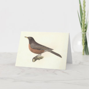 De Amerikaanse Robin (Turdus migratorius) NY Birds Kaart