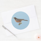 De Amerikaanse Robin (Turdus migratorius) NY Birds Ronde Sticker (Envelop)
