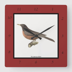 De Amerikaanse Robin (Turdus migratorius) NY Birds Vierkante Klok
