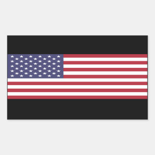 De Amerikaanse Sticker van de Vlag