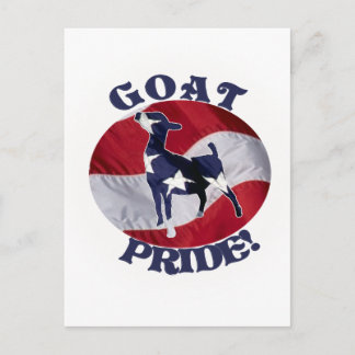 DE AMERIKAANSE VLAG DE V.S. VAN DE TROTS VAN DE BRIEFKAART