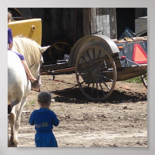 De Amish Girls en hun paarden Poster (Voorkant)