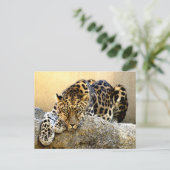De Amur Leopard Briefkaart (Staand voorkant)