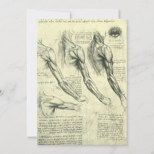 De anatomie van de arm en schouder van Leonardo da (Voorkant)