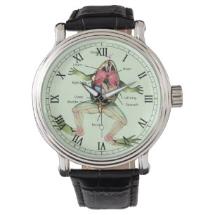 De anatomie van de kikker Romans Horloge