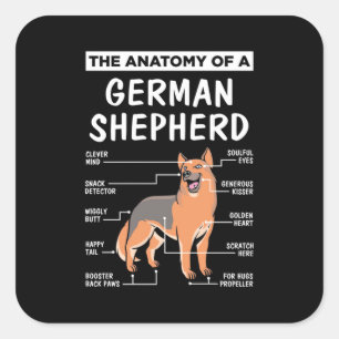 De anatomie van een Duitse herder Vierkante Sticker