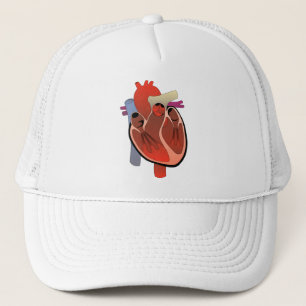 DE ANATOMISCHE TEKENING VAN HET HART TRUCKER PET