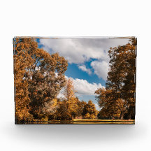 De Andere Kant Van De Herfst