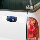De Angry Grackle Bumpersticker (Op Truck)