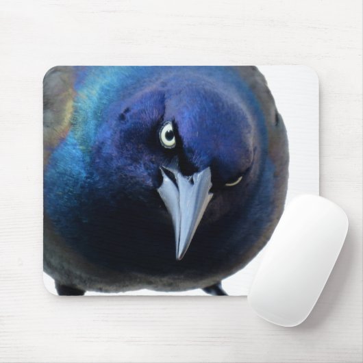 De Angry Grackle Muismat (Met muis)