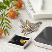 De anisotroop van de Wilkinson-microgolf Sleutelhanger (Zijkant)