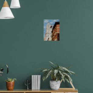 De Ansonia Print