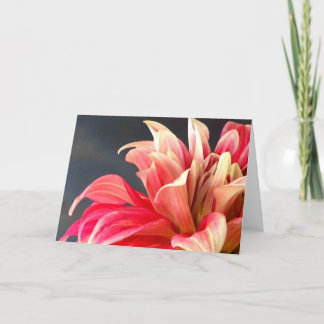 De any-kans-card. bedankkaart