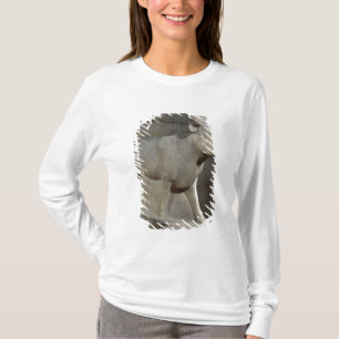 De Apis Bull uit het Serapeum, Memphis T-shirt