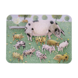 De Apple Feast Magneet