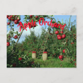 De Apple Orchard Briefkaart (Voorkant)