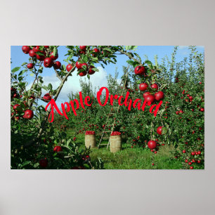 De Apple Orchard Poster