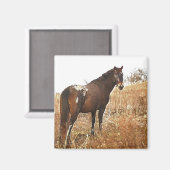 De Appy Magneet (Voorkant / Achterkant)