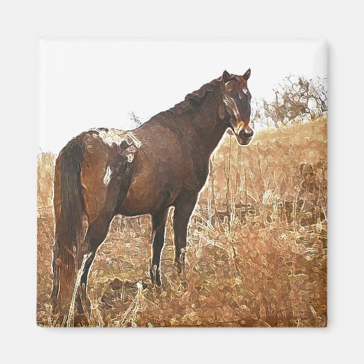 De Appy Magneet (Voorkant)