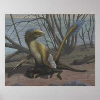 De Aptian Riverbank Print