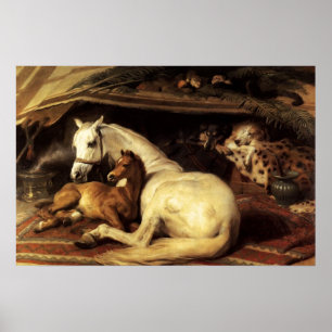 DE ARABISCHE TENT MET PAARDEN EN ANDERE DIEREN POSTER