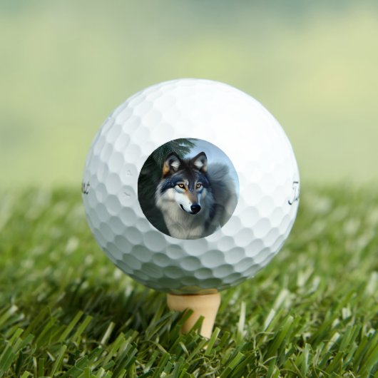 De Arctische Wolf, Golf Balls Golfballen (Insitu Shirt)