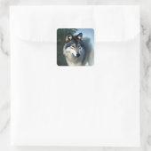 De Arctische Wolf, Stickers (Tas)