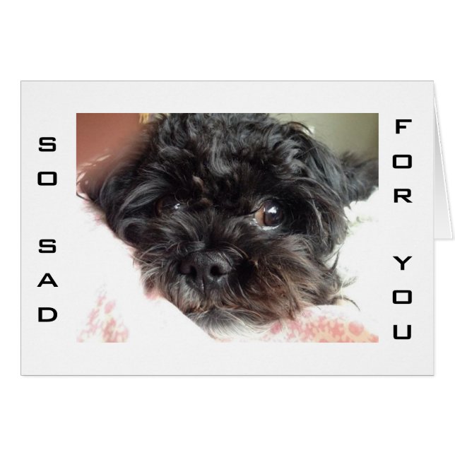 DE ARME DOG IS ZO SAD U R TURNING 40 (Voorkant Horizontaal)