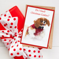 De arrogante Kaart van Charles Spaniel Running In