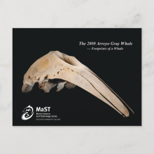 De Arroyo Grey Whale van 2010 - Voetafdrukken van  Briefkaart