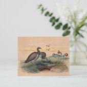 De Ashy-Headed gans van Joseph Wolf Briefkaart (Staand voorkant)