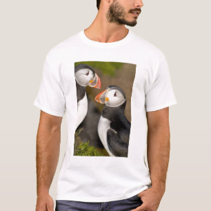 De Atlantische papegaai T-shirt